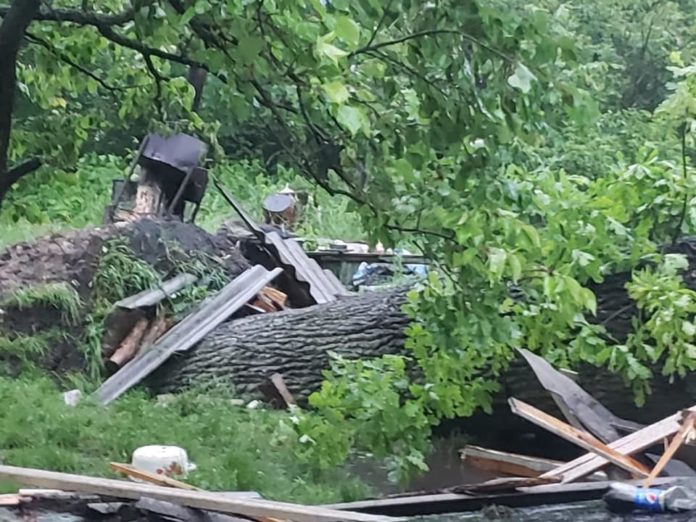 В Брюховичах під час негоди дерево впало на будинок, загинула дівчина В Брюховичах під час негоди дерево впало на будинок, загинула дівчина