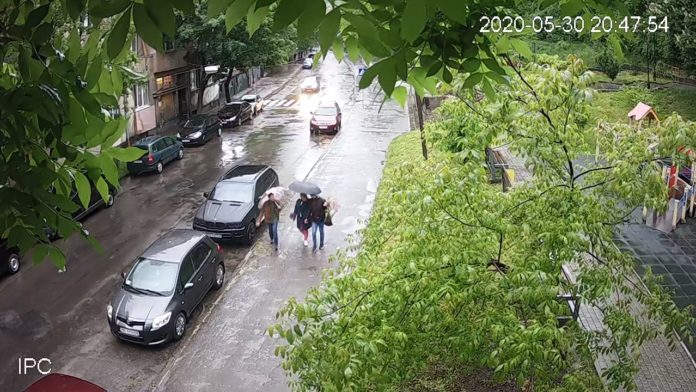 У Львові розшукують вандалів, які вкрали і понищили квіти (відео) У Львові розшукують вандалів, які вкрали і понищили квіти (відео)