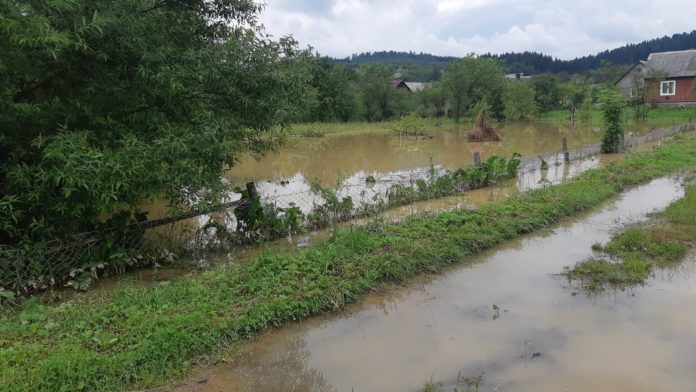 На Львівщині оголошено штормове попередження На Львівщині оголошено штормове попередження