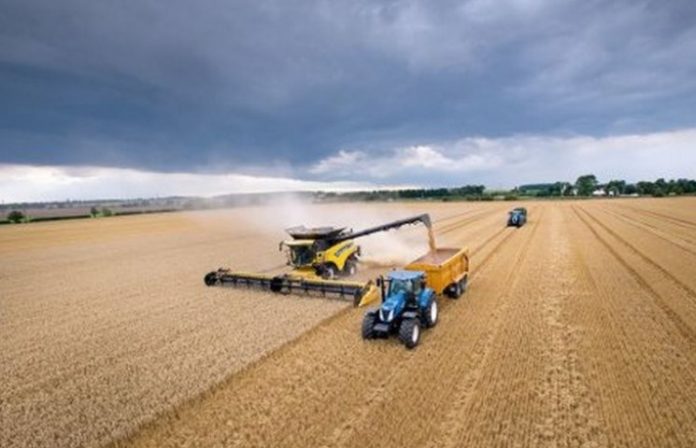 Як паводок та погодні умови позначаться на врожаї і вартості сільгосппродукції Як паводок та погодні умови позначаться на врожаї і вартості сільгосппродукції