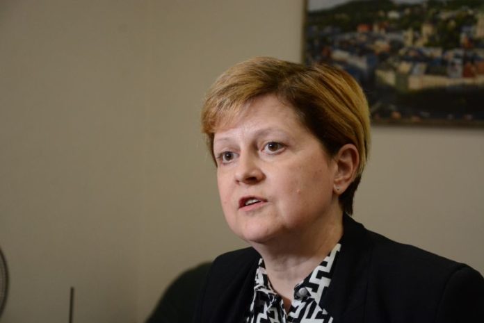 У Львові облаштують притулок для тварин: яким він буде У Львові облаштують притулок для тварин: яким він буде