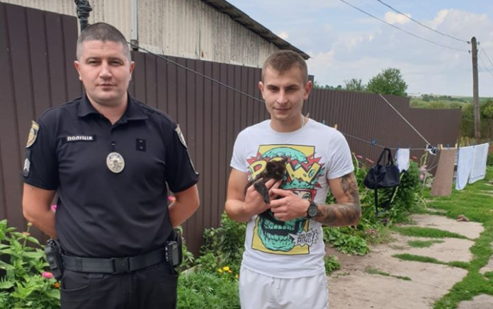 Закрив у банці і знімав: на Львівщині затримали хлопця, який познущався над кошеням Закрив у банці і знімав: на Львівщині затримали хлопця, який познущався над кошеням