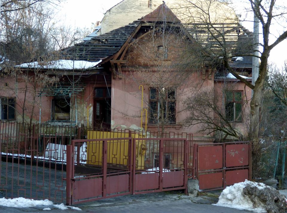 Вілла «Люсія»: чи вдасться врятувати пам’ятку архітектури - 10