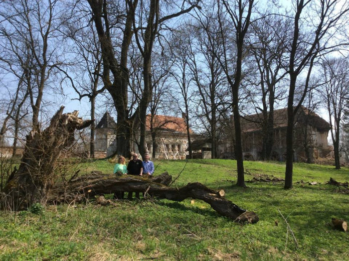 На відновлення парку біля Поморянського замку витратять 10 мільйонів На відновлення парку біля Поморянського замку витратять 10 мільйонів