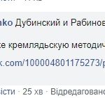 Одна голова на двох: нардепи Дубинський та Рабінович у Fb опублікували однакові пости - 5