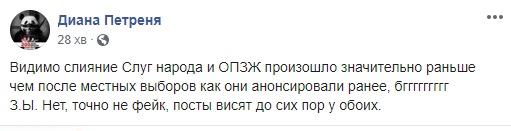Одна голова на двох: нардепи Дубинський та Рабінович у Fb опублікували однакові пости - 7