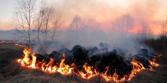 Синоптики попередили про надзвичайний рівень пожежної небезпеки Синоптики попередили про надзвичайний рівень пожежної небезпеки
