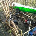 На Житомирщині впав дельтаплан: загинув пілот - 3