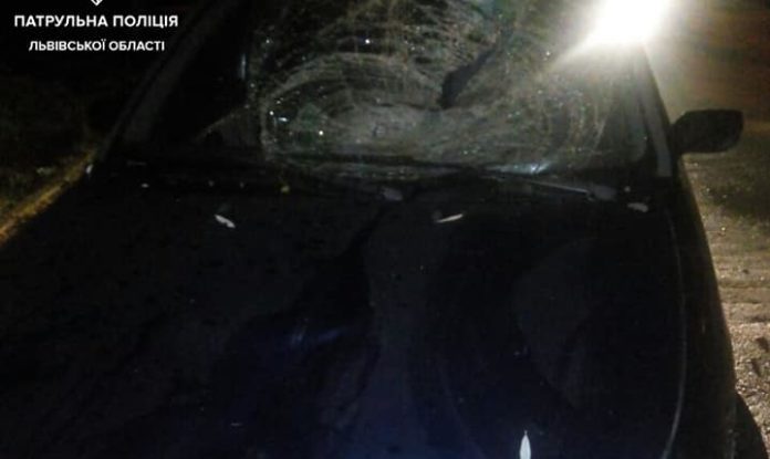 Патрульні вилучили автомобіль у водія, який збив львів’янина та втік (фото) Патрульні вилучили автомобіль у водія, який збив львів’янина та втік (фото)