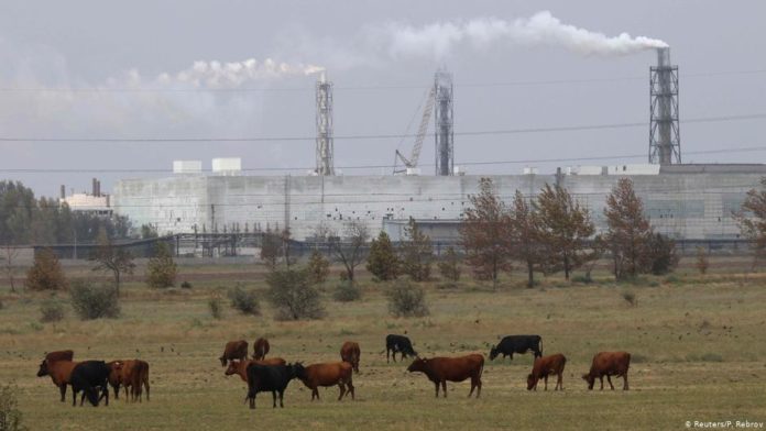 В ЄС худоба більше забруднює повітря, ніж автомобілі, – Greenpeace В ЄС худоба більше забруднює повітря, ніж автомобілі, – Greenpeace