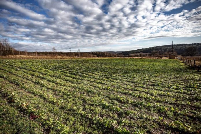 У Держгеокадастрі Львівщини опрацювали понад 13 тисяч проєктів землеустрою У Держгеокадастрі Львівщини опрацювали понад 13 тисяч проєктів землеустрою