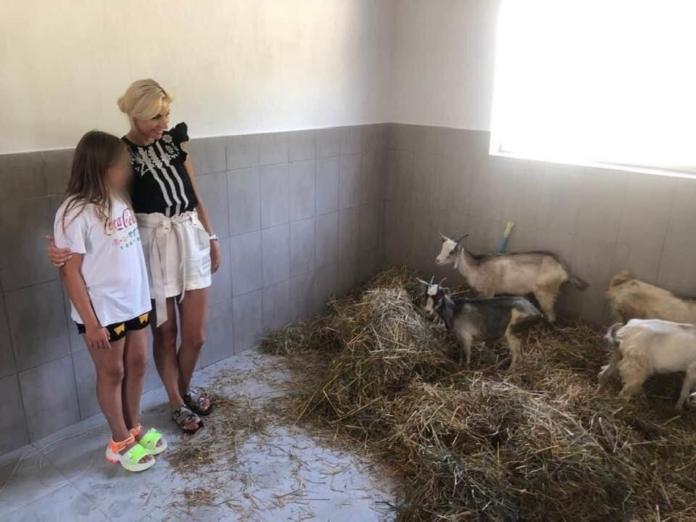 Від кіз до косарки: на Львівщині стартувала «політична благодійність» (фото) Від кіз до косарки: на Львівщині стартувала «політична благодійність» (фото)