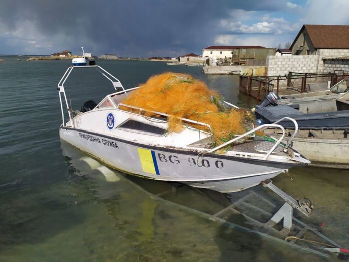 В Азовському морі прикордонники визволили дельфіна з браконьєрських тенет В Азовському морі прикордонники визволили дельфіна з браконьєрських тенет