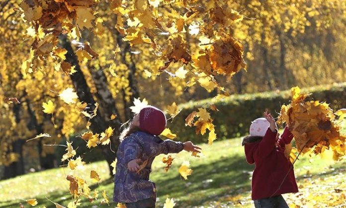 Осінні канікули можуть розпочатися раніше Осінні канікули можуть розпочатися раніше