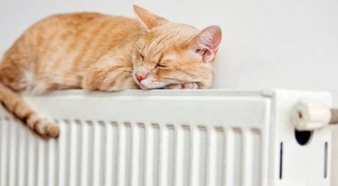 Сьогодні до кінця дня близько 70% мешканців матимуть тепло Сьогодні до кінця дня близько 70% мешканців матимуть тепло