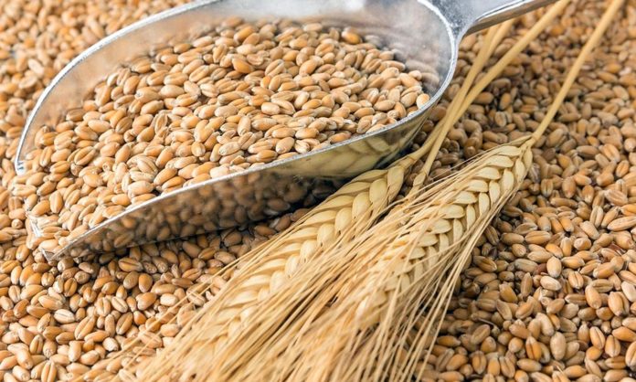 Україна на 16% скоротила експорт зерна Україна на 16% скоротила експорт зерна