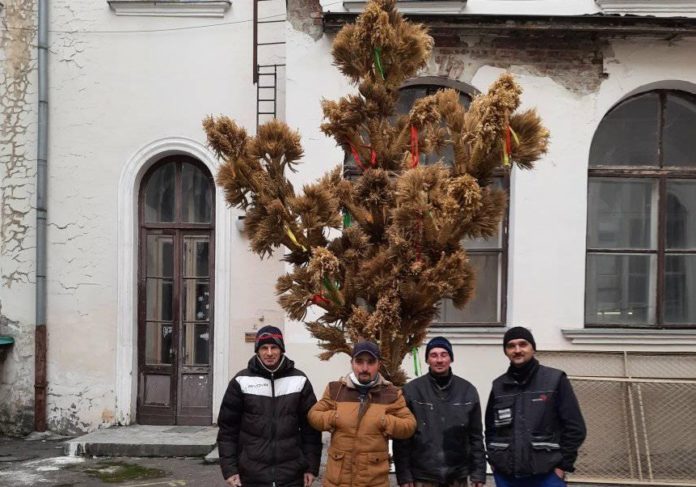 Головний дідух Львова складатиметься зі 120 маленьких дідухів (фото) Головний дідух Львова складатиметься зі 120 маленьких дідухів (фото)