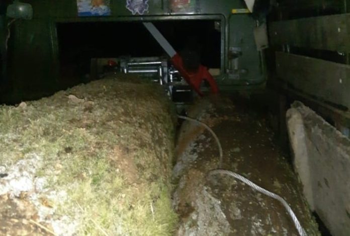 На Львівщині двоє чоловіків незаконно вирубували дуби На Львівщині двоє чоловіків незаконно вирубували дуби