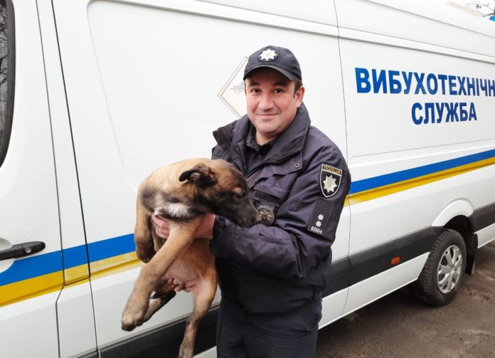 Львівські поліцейські обрали ім’я службовому цуценяті: там навіть оголошували конкурс Львівські поліцейські обрали ім’я службовому цуценяті: там навіть оголошували конкурс
