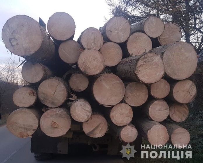 На Львівщині виявили вантажівку з нечіпованою деревиною На Львівщині виявили вантажівку з нечіпованою деревиною