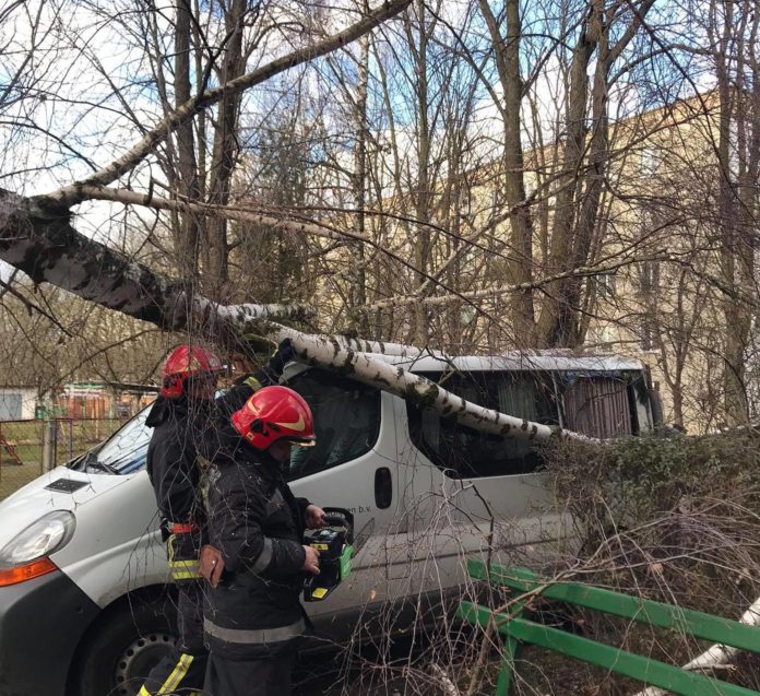 На Львівщині дерево впало на автомобіль (фото) На Львівщині дерево впало на автомобіль (фото)