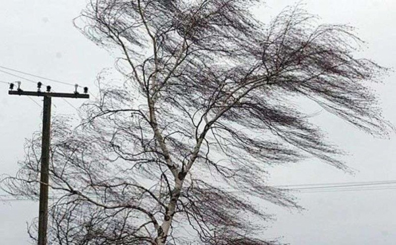 Синоптики попередили про сильні пориви вітру на Львівщині