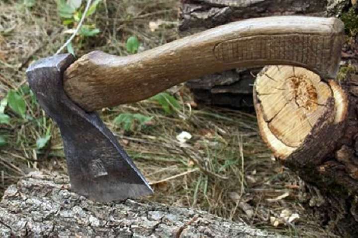 На Львівщині судитимуть 35-річного чоловіка за незаконну рубку дерев