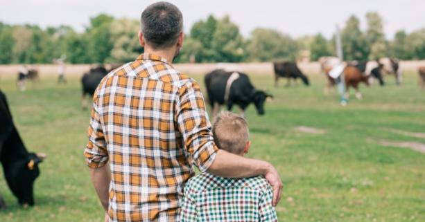 На Львівщині планують створити сімейні фермерські господарства