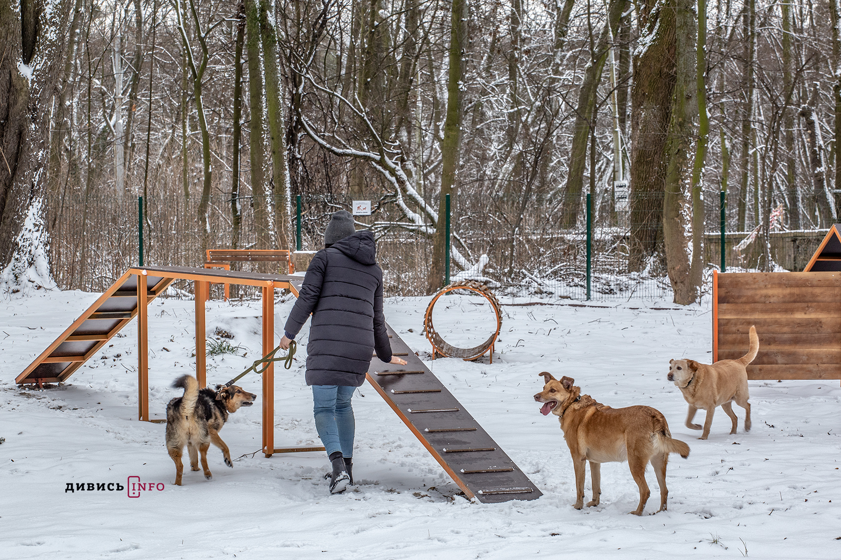 У Львові облаштували ще один тренувально-вигульний майданчик для собак за майже 500 тисяч (фото)