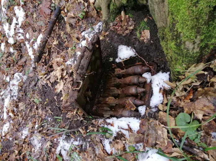 У Пустомитівському районі вилучено та знищено застарілі боєприпаси У Пустомитівському районі вилучено та знищено застарілі боєприпаси