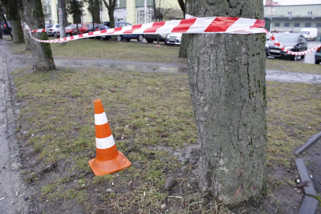 У Львові на вулиці виявили ручну гранату (фото) - 3