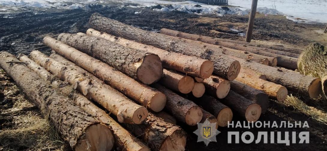 У Червоноградському районі правоохоронці виявили майже три десятки нечипованих дерев