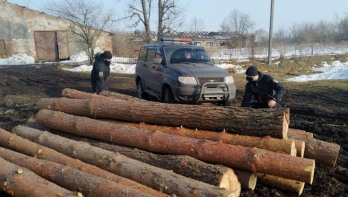 На Львівщині виявили майже 30 колод незаконно зрубаної деревини На Львівщині виявили майже 30 колод незаконно зрубаної деревини