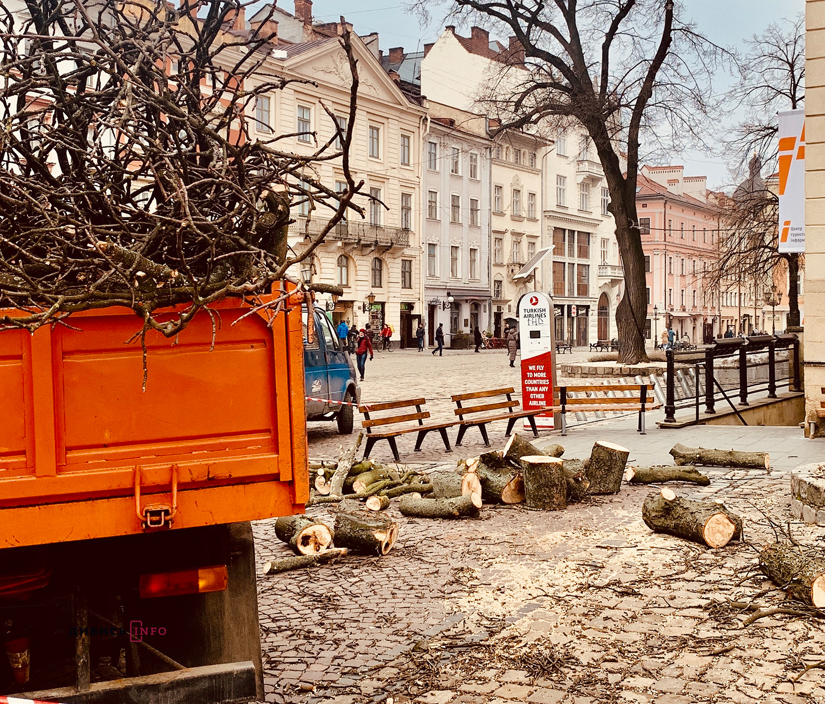 У Львові зрізали майже столітній каштан (фото)