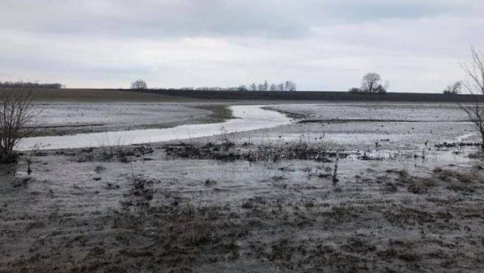 У Дрогобицькому районі підтопило електропідстанцію У Дрогобицькому районі підтопило електропідстанцію
