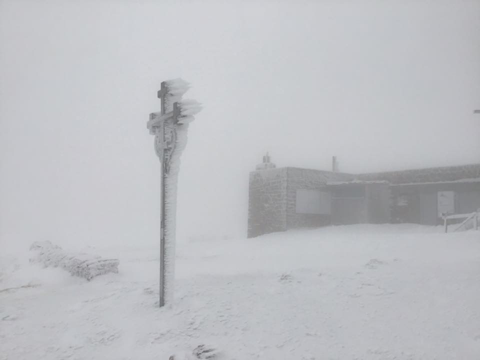 Шквальний вітер та снігопад: у Карпатах погіршиться погода