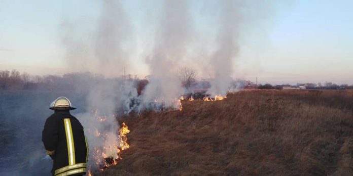 Минулої доби на Львівщині вогонь знищив понад 1,5 га сухої трави Минулої доби на Львівщині вогонь знищив понад 1,5 га сухої трави
