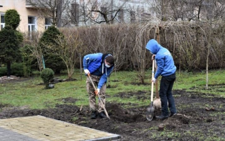 Як у Золочеві висадили понад чотири тисячі нових дерев (фото) - 3