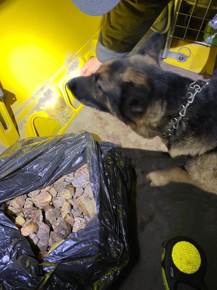 На митниці собака допоміг виявити майже 9 кілограмів бурштину - 2