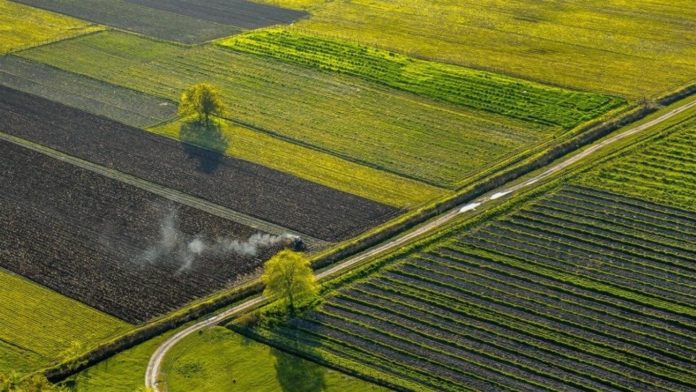 На Львівщині територіальній громаді повернули землю вартістю понад мільйон На Львівщині територіальній громаді повернули землю вартістю понад мільйон