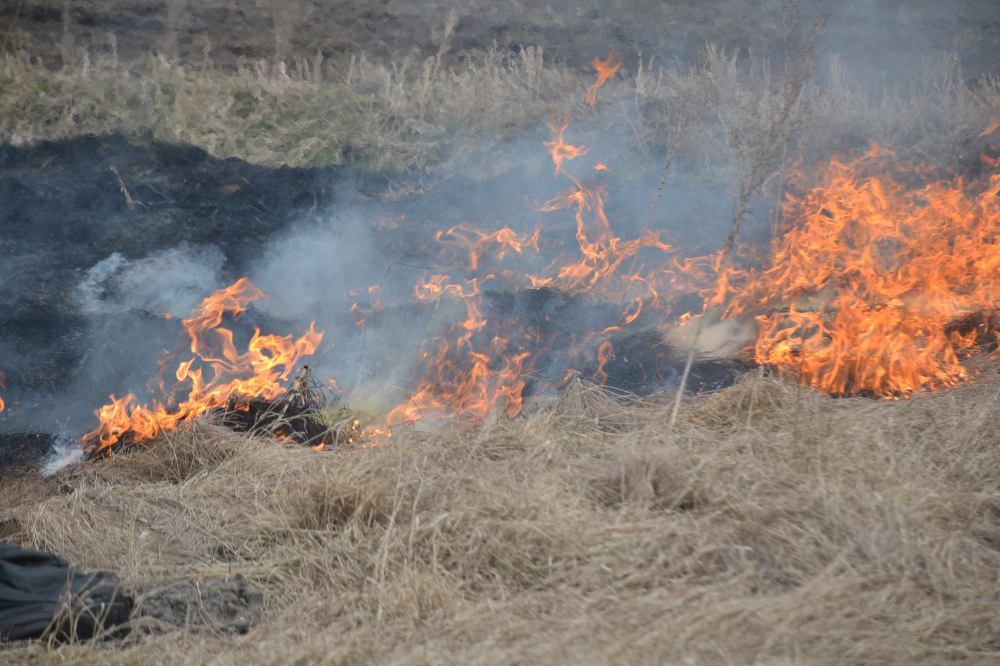 За минулу добу надзвичайники Львівщини ліквідували 4 пожежі сухої трави