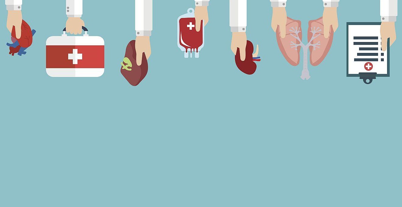 Human organ for transplantation concept with hands, medical banner