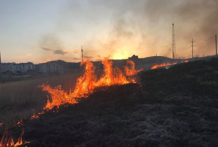 На Львівщині знову палали суха трава та чагарники На Львівщині знову палали суха трава та чагарники