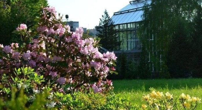 ЛНУ запрошує на джазовий вечір у Ботанічному саду ЛНУ запрошує на джазовий вечір у Ботанічному саду