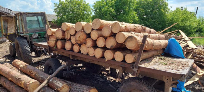 У Глинянах на пилорамі виявили кілька десятків незаконно зрубаної сосни У Глинянах на пилорамі виявили кілька десятків незаконно зрубаної сосни