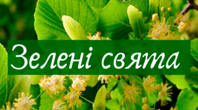 Зелені свята: чим не можна прикрашати дім Зелені свята: чим не можна прикрашати дім