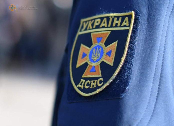 У центрі Львова впало дерево У центрі Львова впало дерево