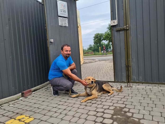 У Львові шукають люблячих господарів для чотирилапого Чарлі У Львові шукають люблячих господарів для чотирилапого Чарлі