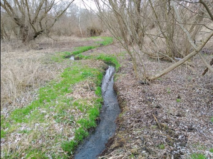У мерії оголосили війну забруднювачам заказника «Торфовище Білогорща» У мерії оголосили війну забруднювачам заказника «Торфовище Білогорща»