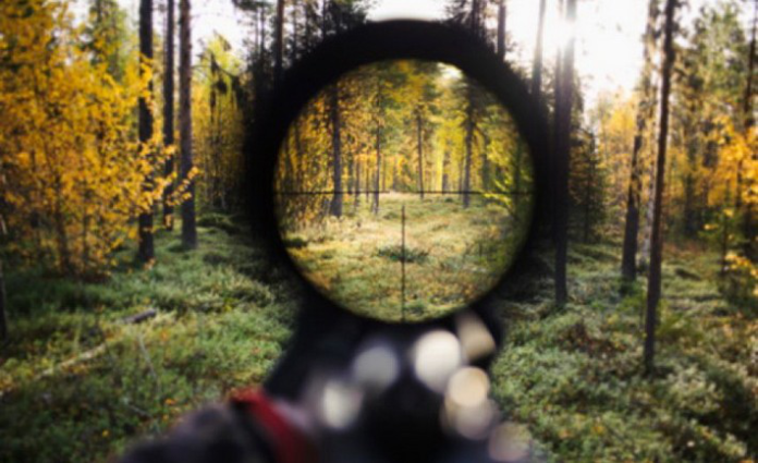 На Львівщині чоловік намагався незаконно вполювати кабана На Львівщині чоловік намагався незаконно вполювати кабана